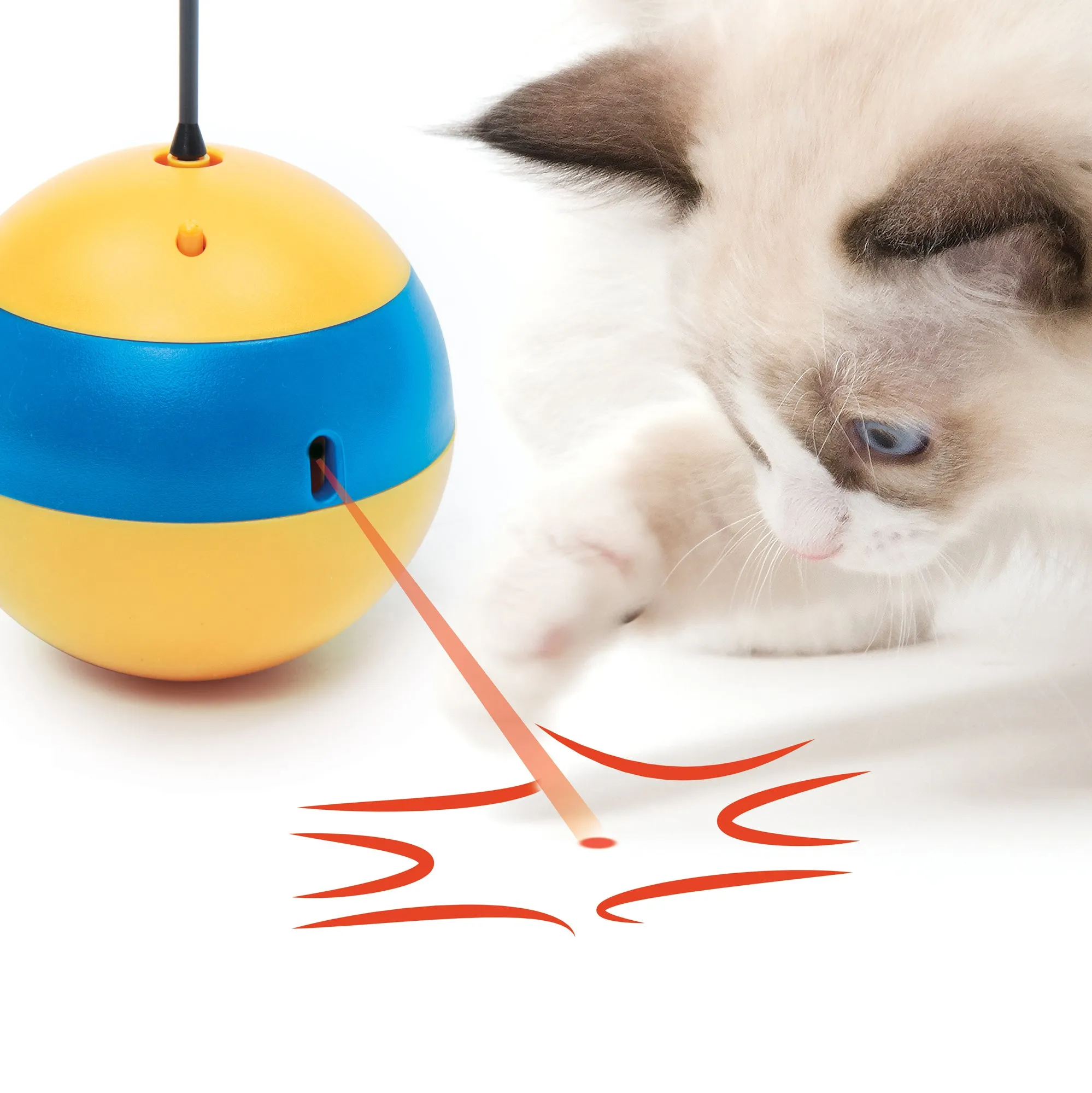 Catit Play Spinning Bee