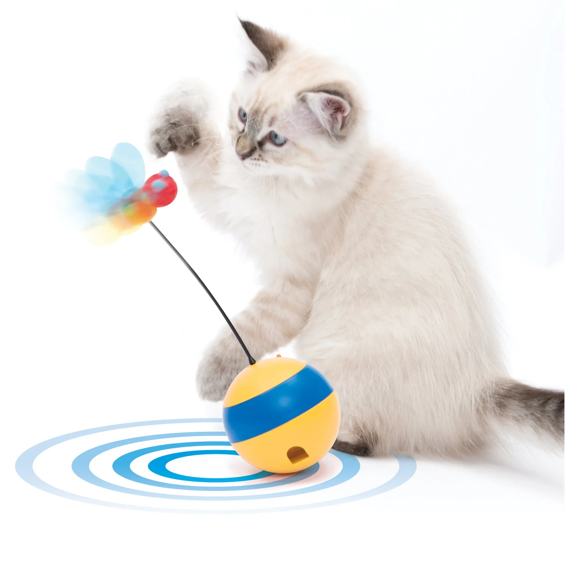 Catit Play Spinning Bee