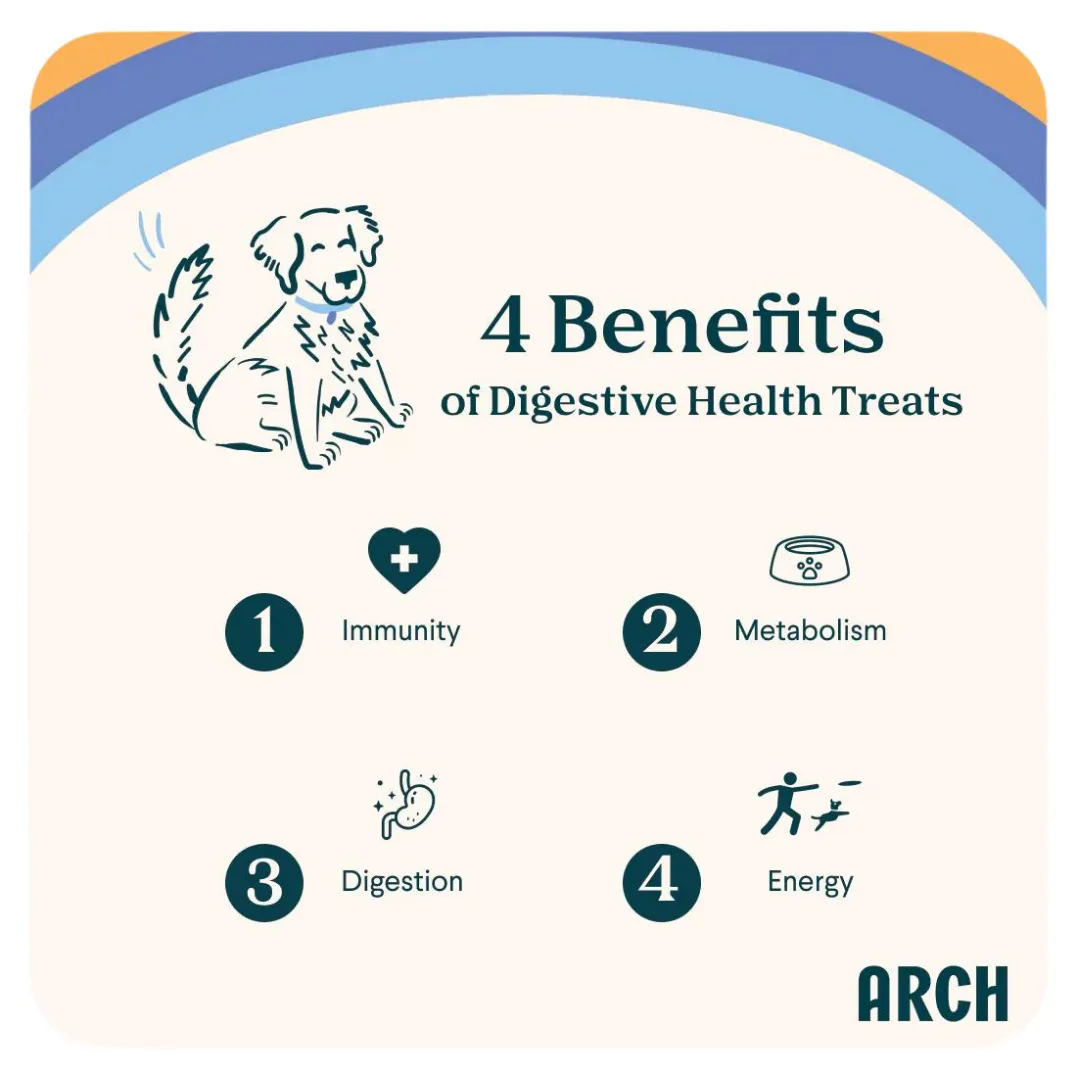 Digestive Health - Dog Treats for Sensitive Stomachs with Cricket Protein