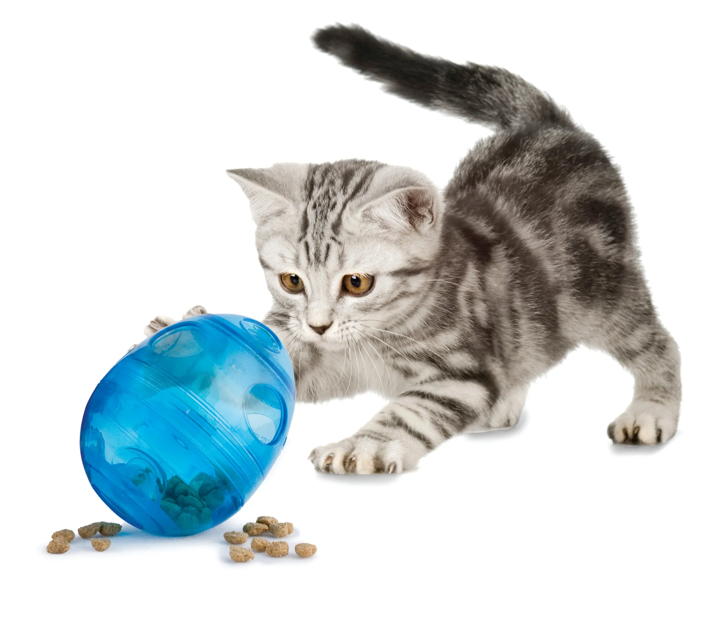 Funkitty™ Egg-Cersizer™ Cat Toy