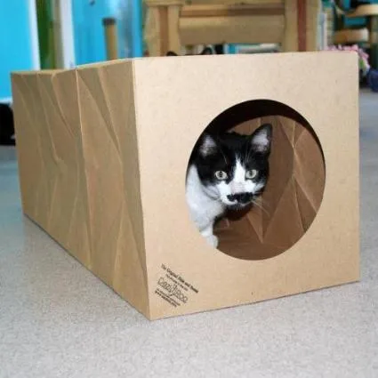 Hide and Sneak - 2 Pack Unique Cat Tunnel