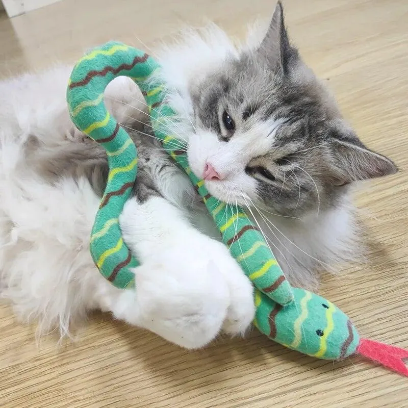 Interactive Snake Cat Teaser Toy