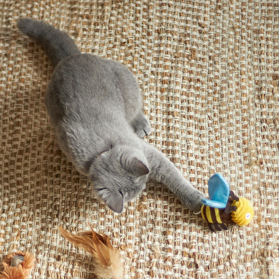 Kazoo Buzzing Bee Cat Toy