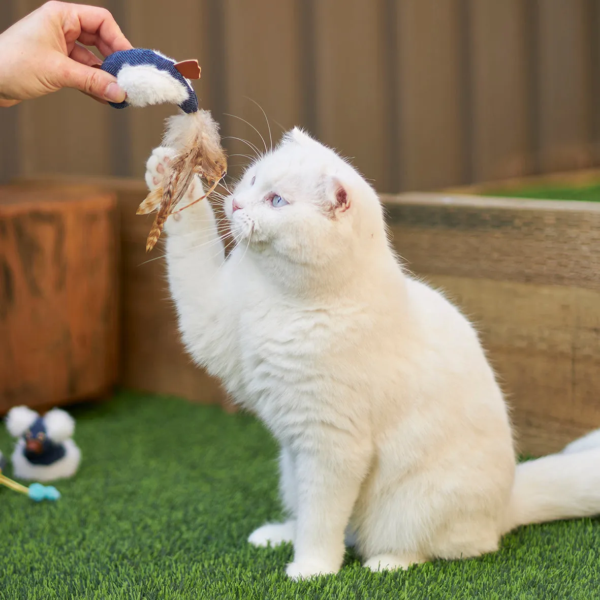 Kazoo Chirpy Bird Cat Toy