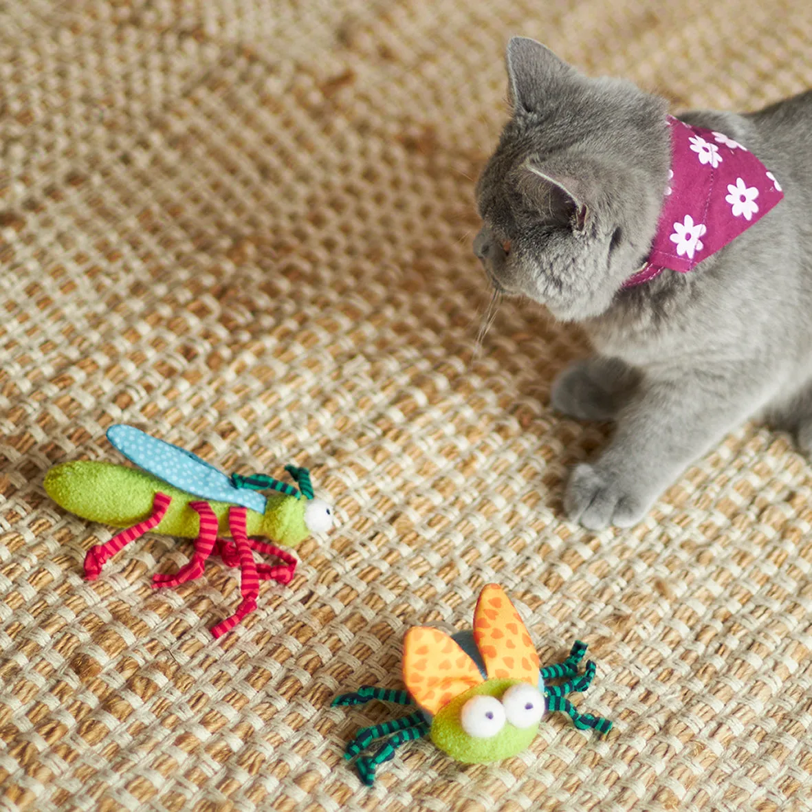 Kazoo Crinkle Bug Cat Toy