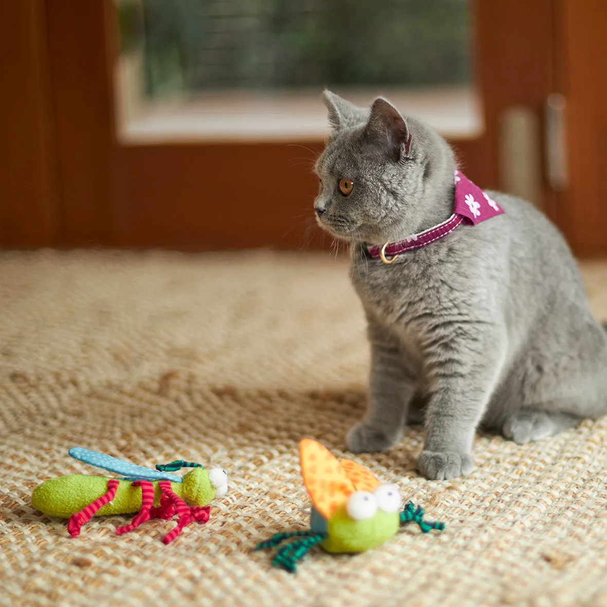 Kazoo Crinkle Bug Cat Toy