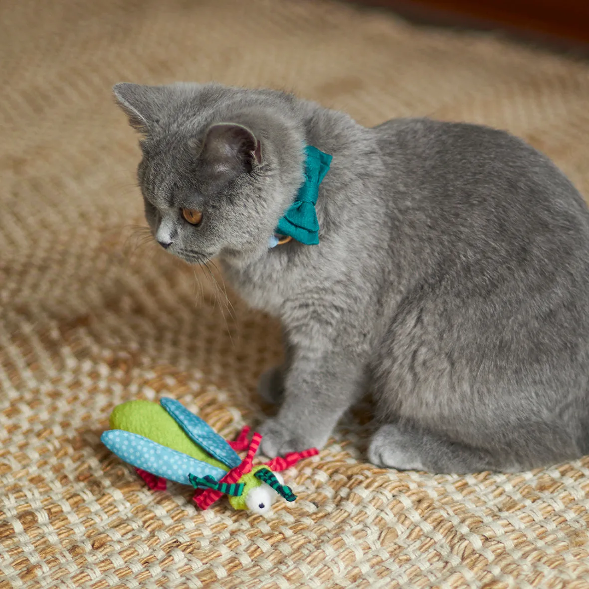 Kazoo Crinkle Bug Cat Toy