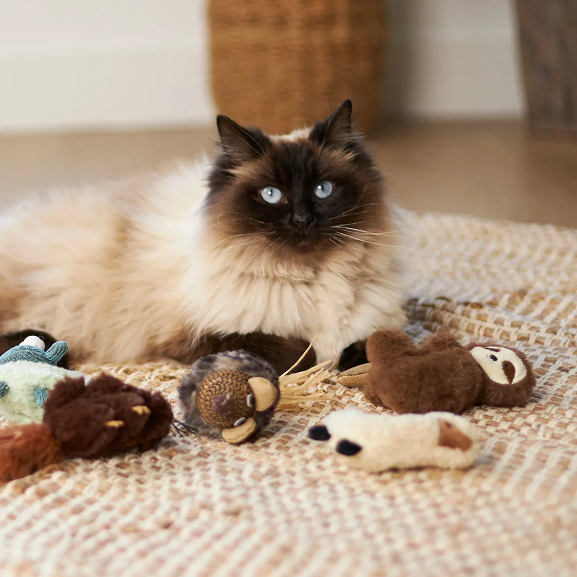 Kazoo Love a Llama Cat Toy