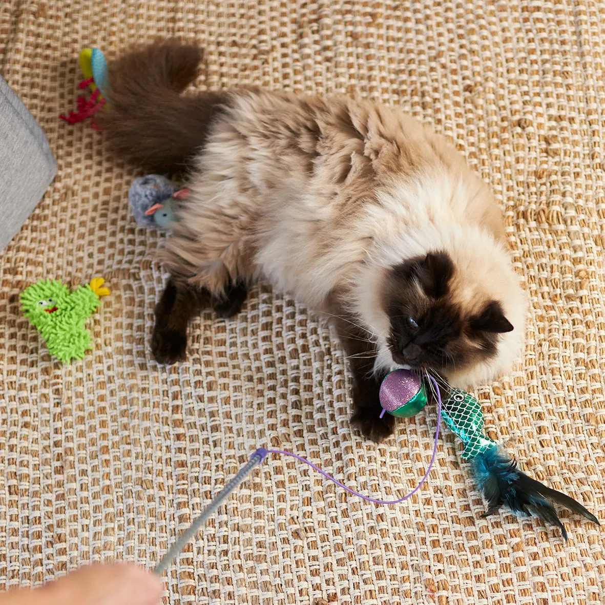 Kazoo Scruffy Cactus Cat Toy