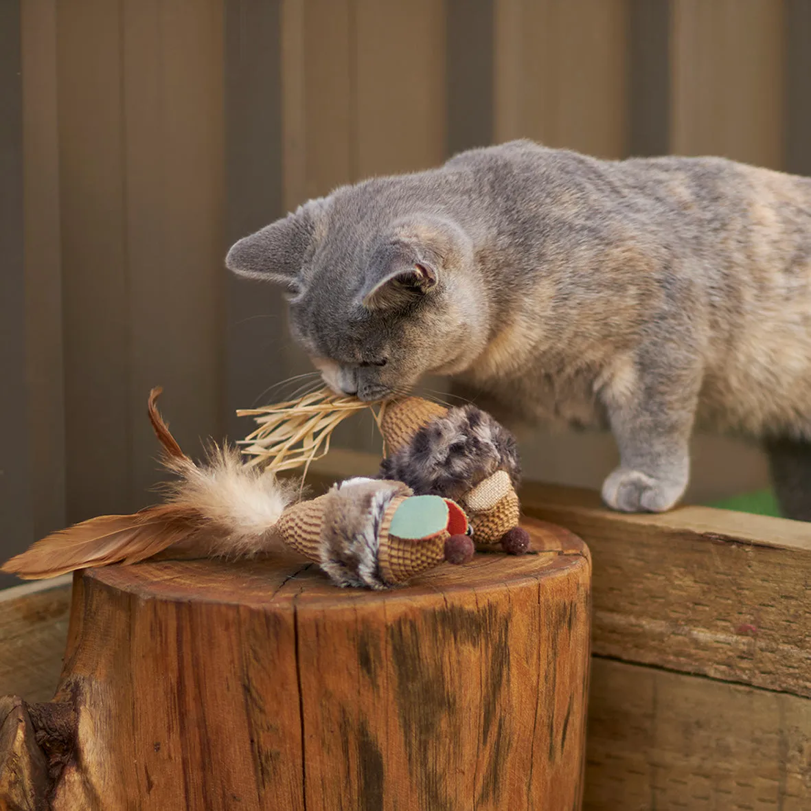 Kazoo Scruffy Mouse Cat Toy