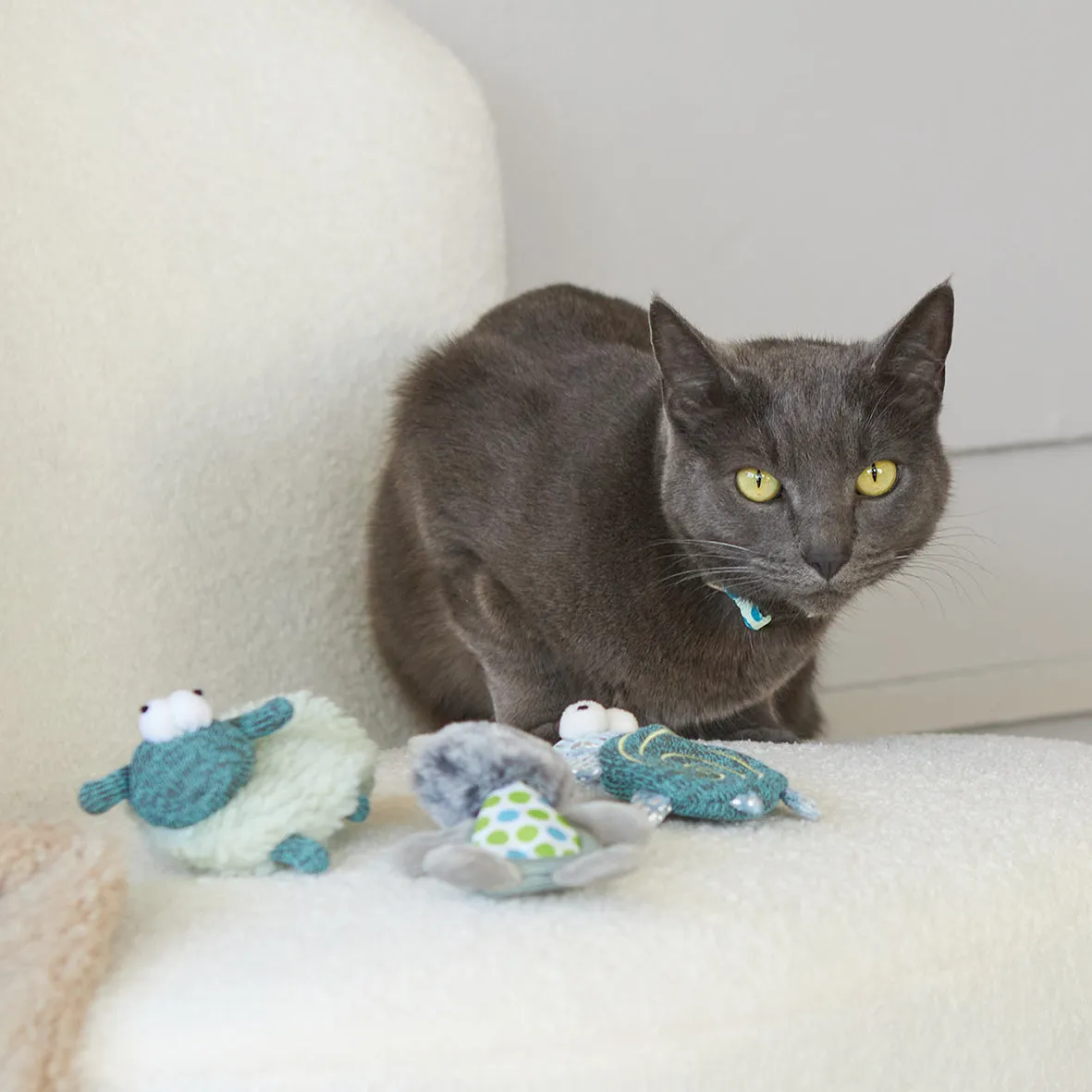 Kazoo Topsy Turtle Cat Toy