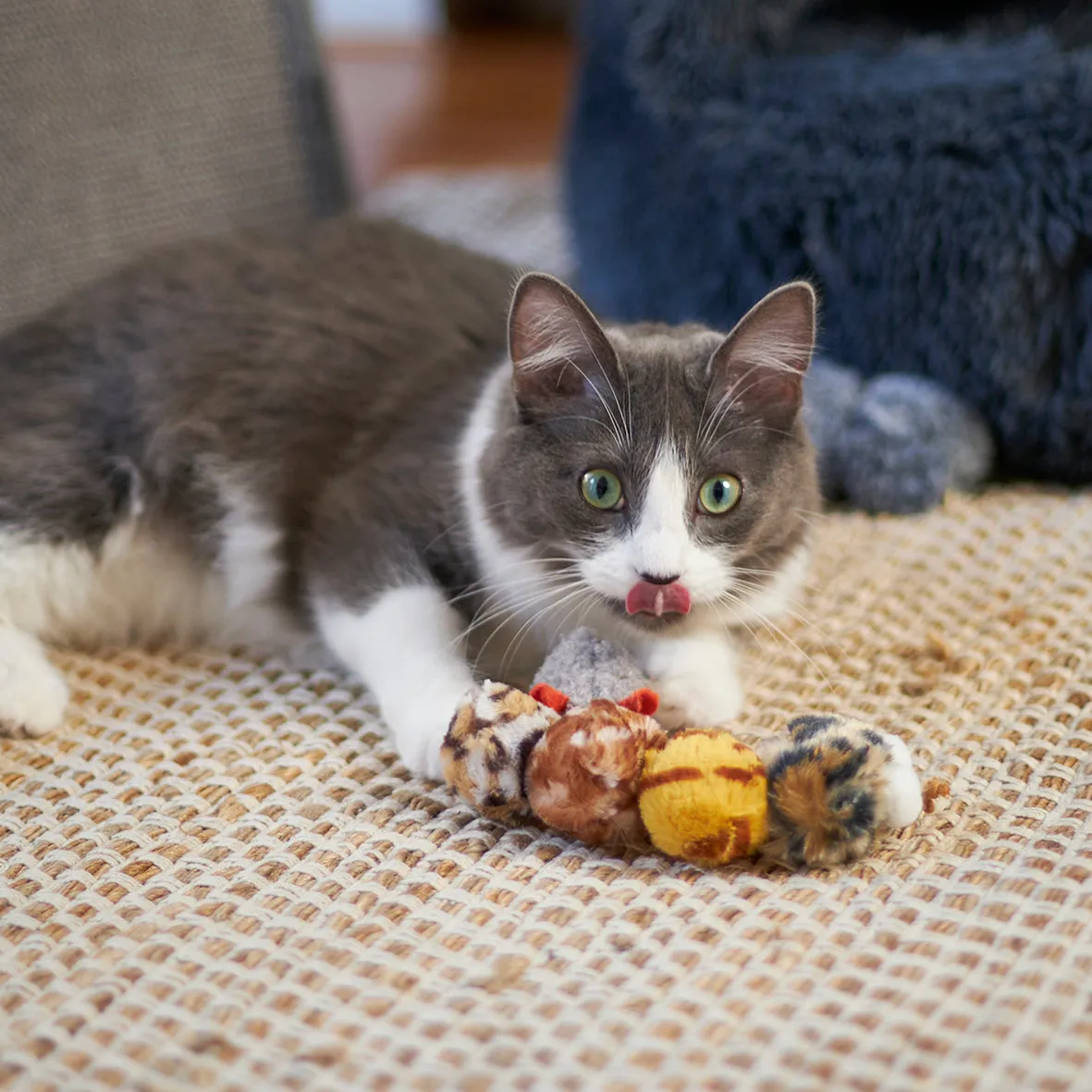 Kazoo Velcro Worm Cat Toy