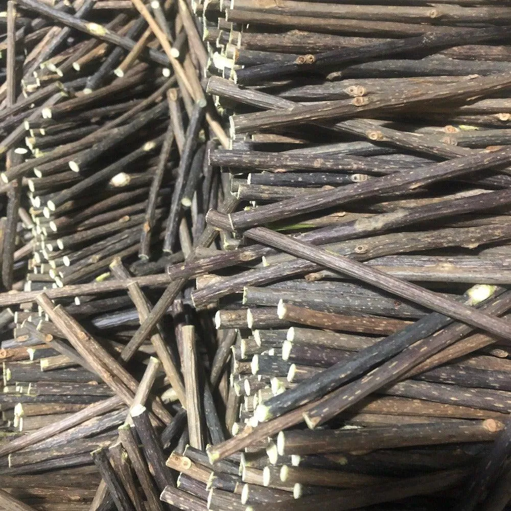 Natural Matatabi Chompy Sticks