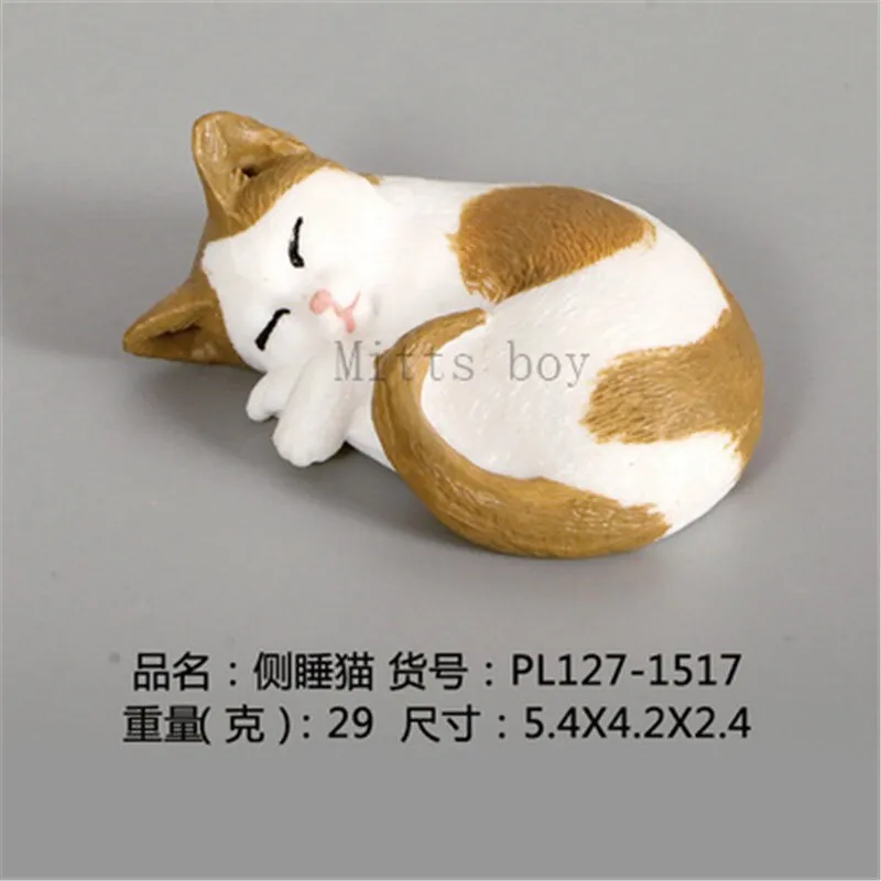 New Simulation Wild Animal Model Toys Set White Pet Cat Poultry Orange Cat Action Figure Cognition Educational Toy for Childrens