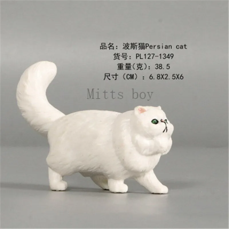 New Simulation Wild Animal Model Toys Set White Pet Cat Poultry Orange Cat Action Figure Cognition Educational Toy for Childrens