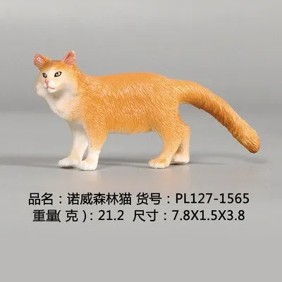 New Simulation Wild Animal Model Toys Set White Pet Cat Poultry Orange Cat Action Figure Cognition Educational Toy for Childrens