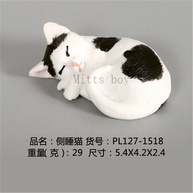 New Simulation Wild Animal Model Toys Set White Pet Cat Poultry Orange Cat Action Figure Cognition Educational Toy for Childrens