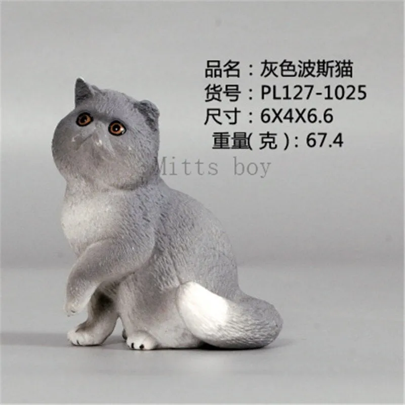 New Simulation Wild Animal Model Toys Set White Pet Cat Poultry Orange Cat Action Figure Cognition Educational Toy for Childrens