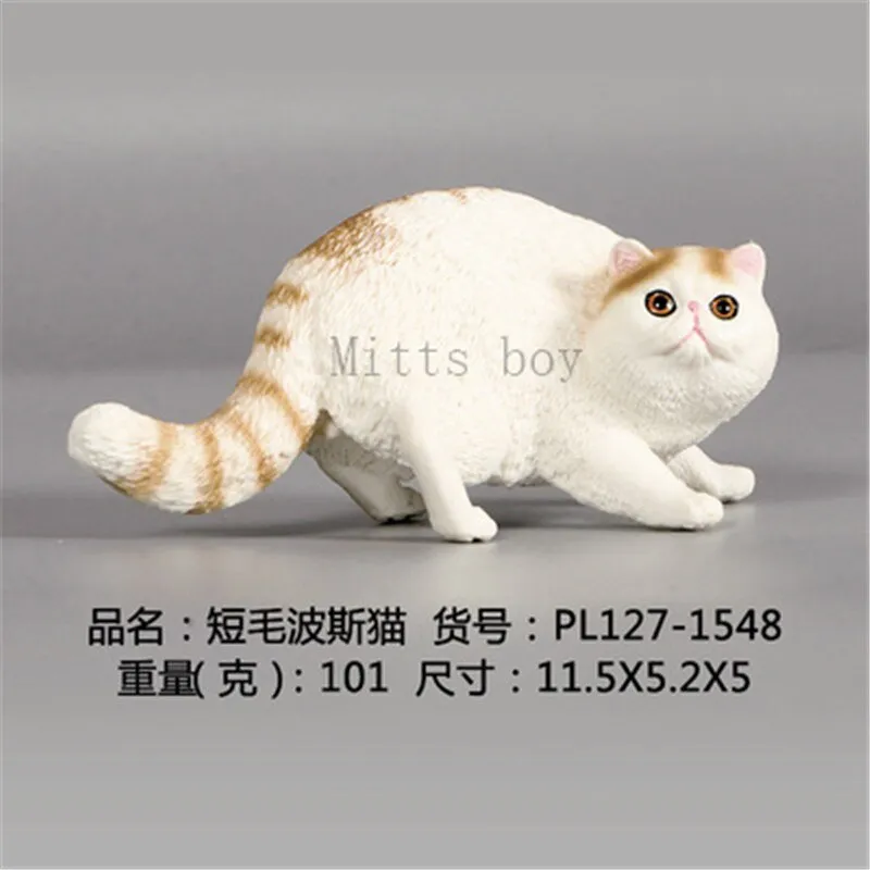 New Simulation Wild Animal Model Toys Set White Pet Cat Poultry Orange Cat Action Figure Cognition Educational Toy for Childrens