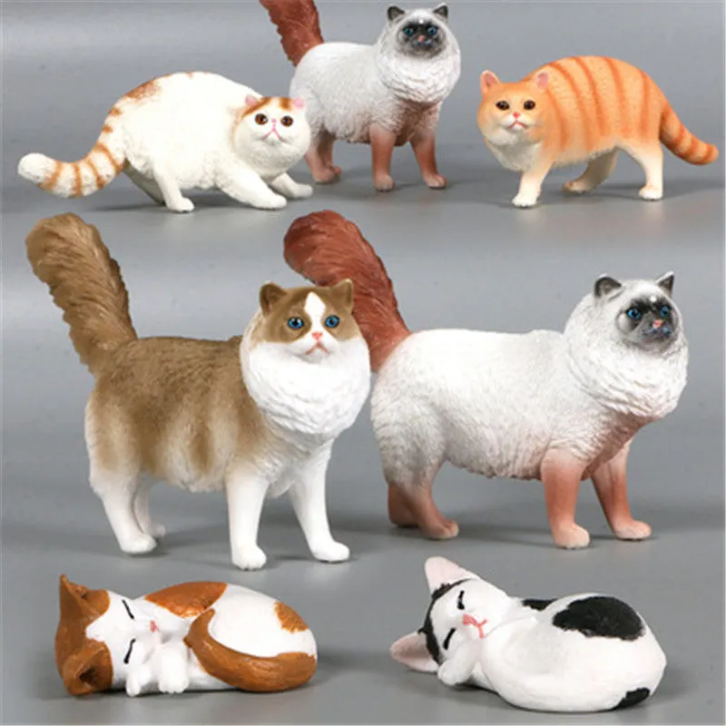 New Simulation Wild Animal Model Toys Set White Pet Cat Poultry Orange Cat Action Figure Cognition Educational Toy for Childrens