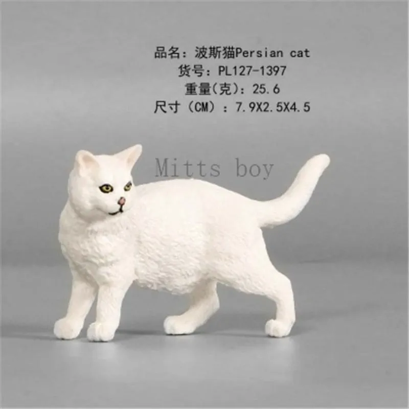 New Simulation Wild Animal Model Toys Set White Pet Cat Poultry Orange Cat Action Figure Cognition Educational Toy for Childrens