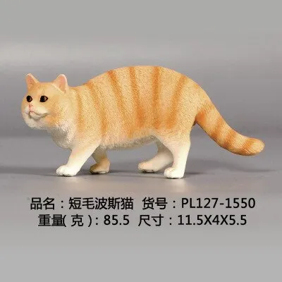 New Simulation Wild Animal Model Toys Set White Pet Cat Poultry Orange Cat Action Figure Cognition Educational Toy for Childrens