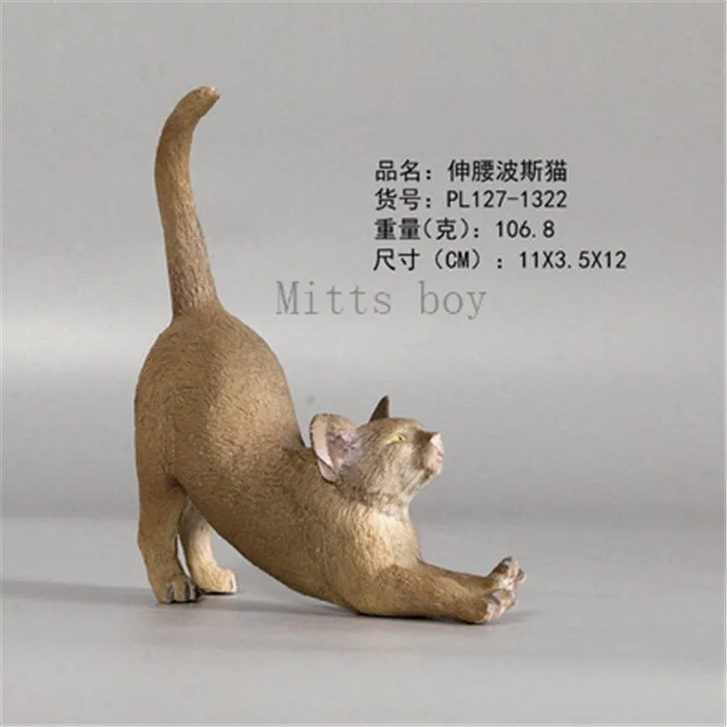 New Simulation Wild Animal Model Toys Set White Pet Cat Poultry Orange Cat Action Figure Cognition Educational Toy for Childrens