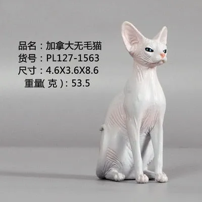 New Simulation Wild Animal Model Toys Set White Pet Cat Poultry Orange Cat Action Figure Cognition Educational Toy for Childrens