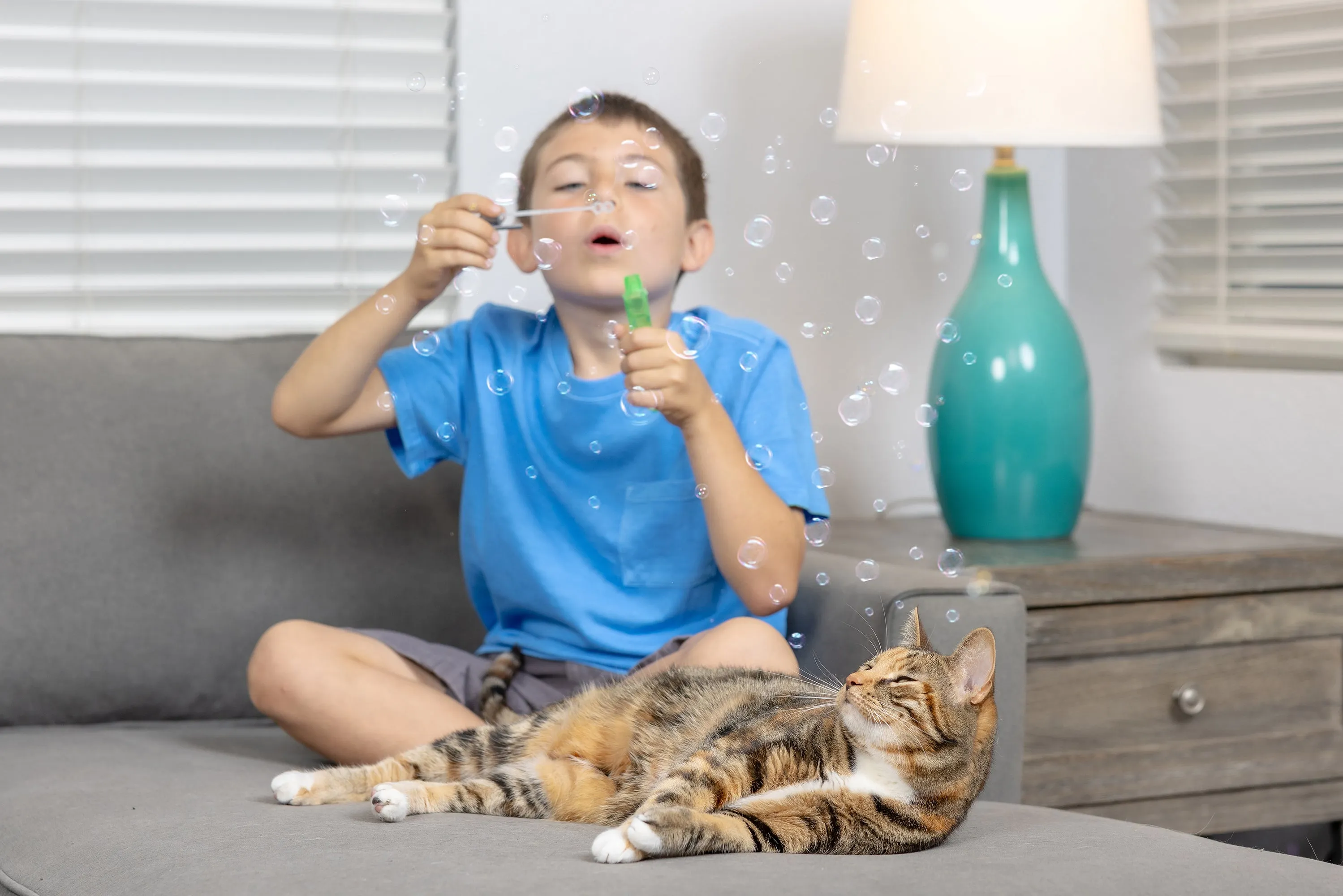 Pet Qwerks Catnip IncrediBubbles for Cats