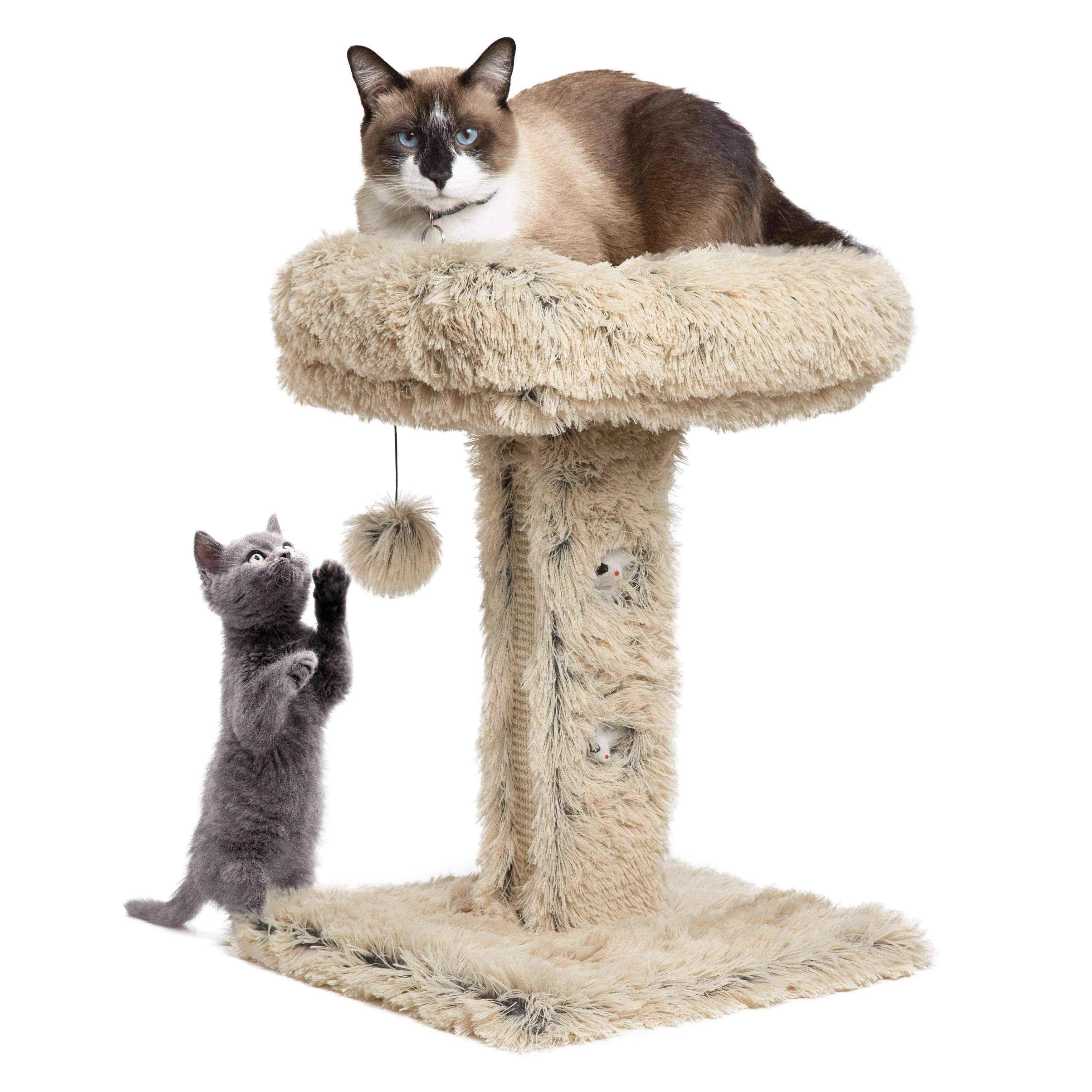 Scratch the surface | Cat Post Lounger with Sratching Surface