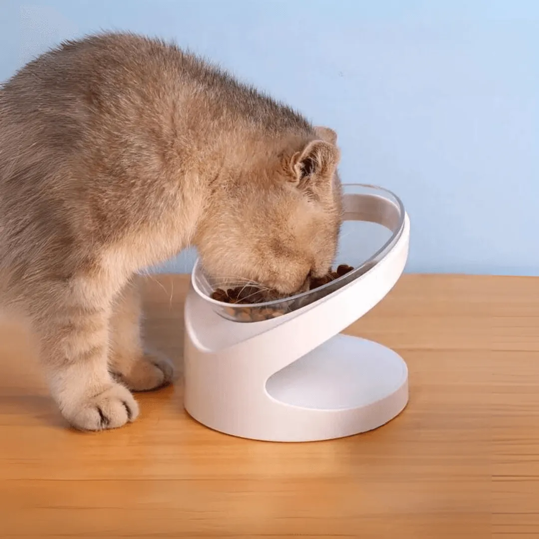 Sleek Eats Modern Cat Bowl With Stand