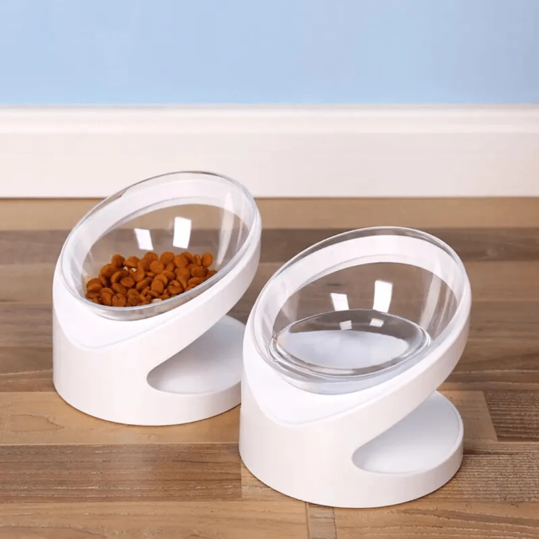 Sleek Eats Modern Cat Bowl With Stand