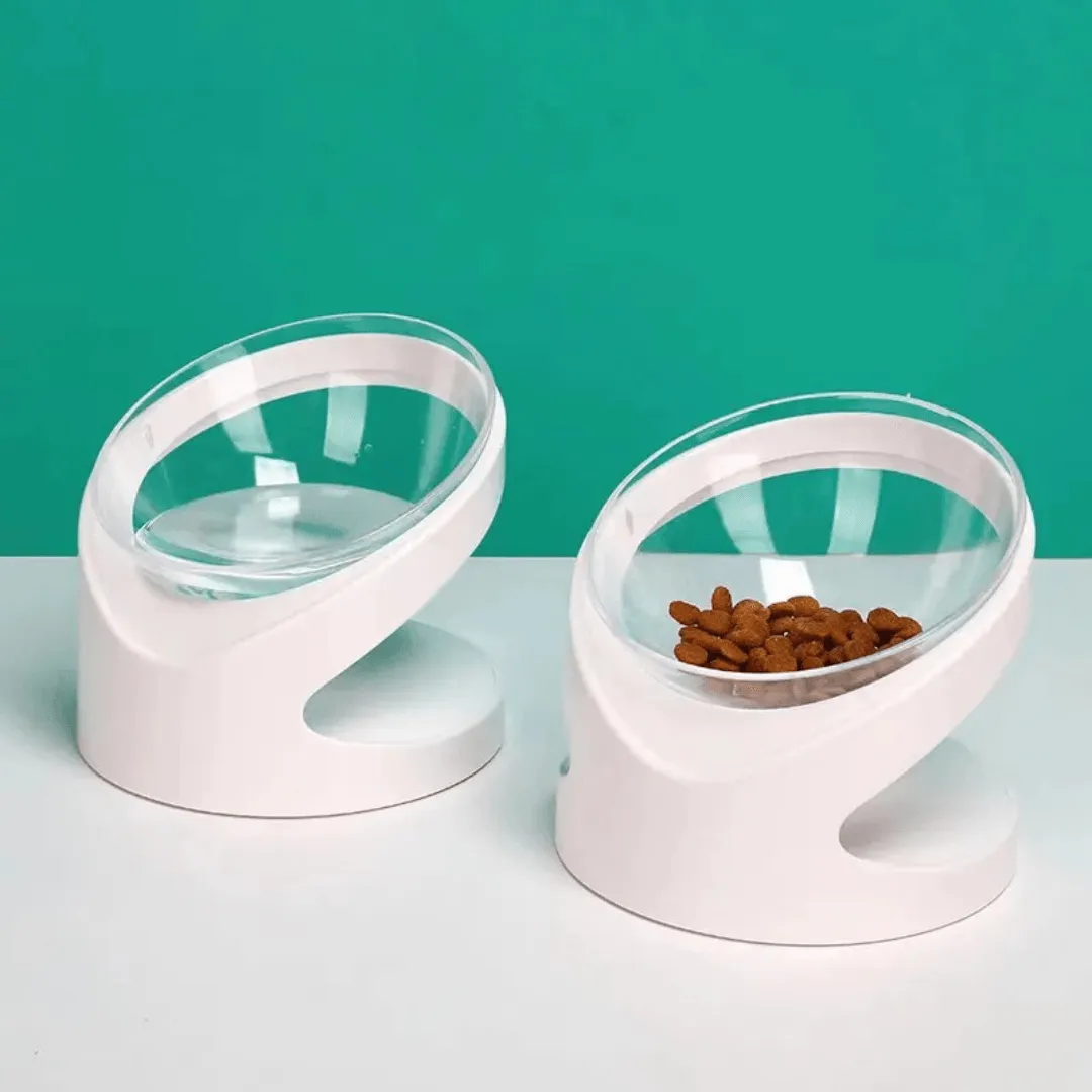 Sleek Eats Modern Cat Bowl With Stand