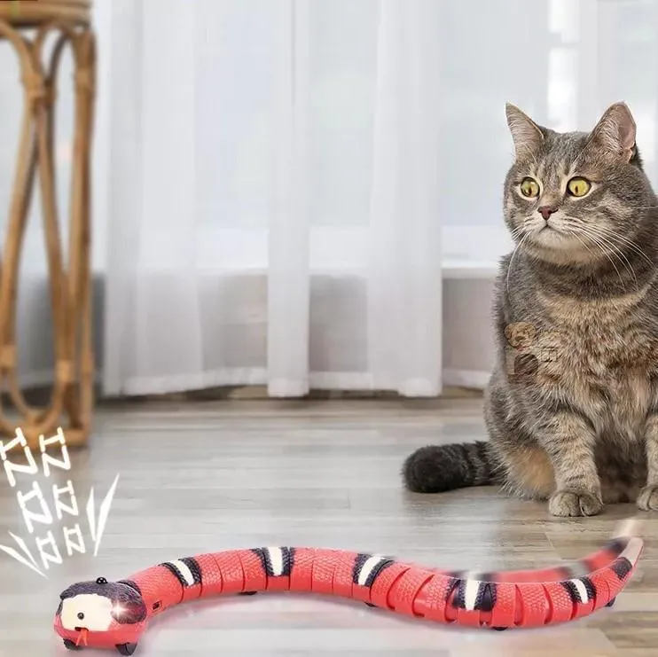 Slinky Moving Snake Cat Toy