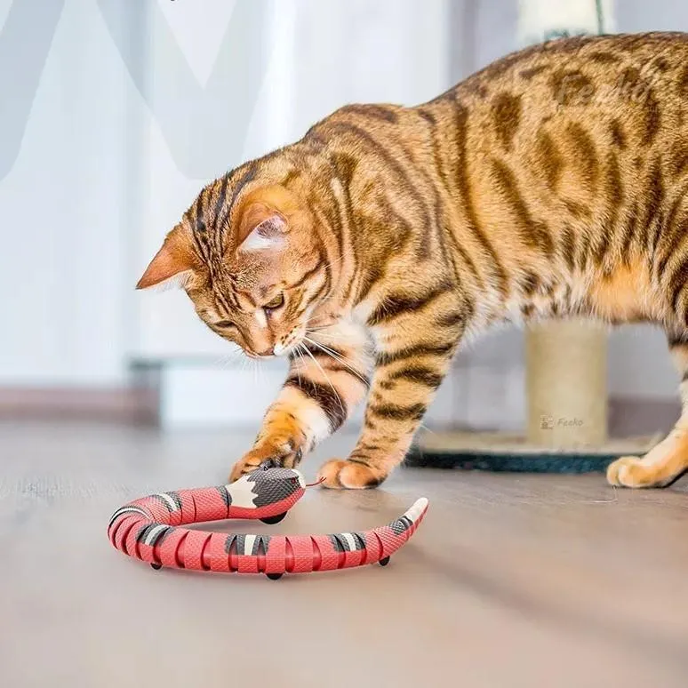 Slinky Moving Snake Cat Toy