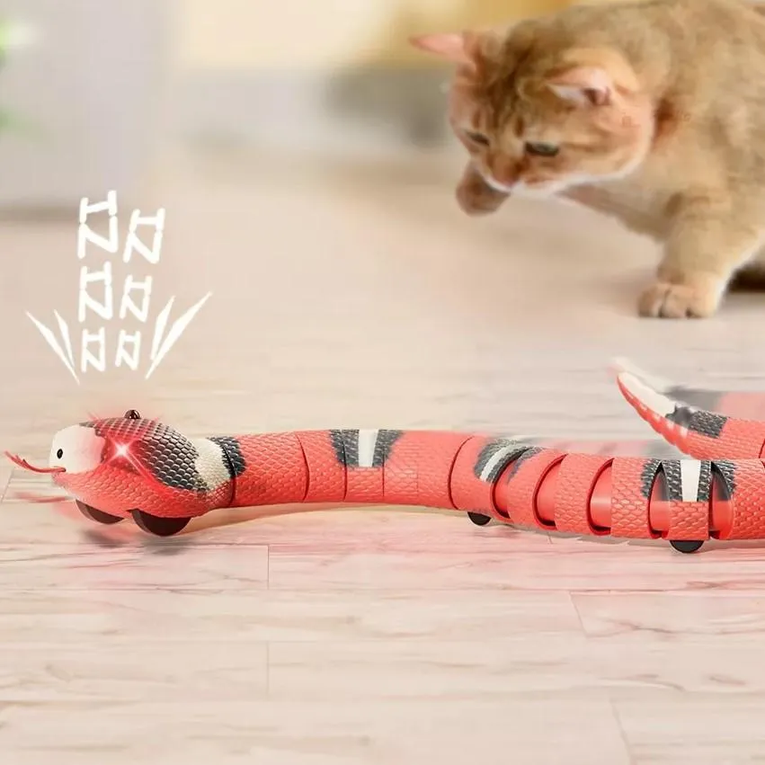 Slinky Moving Snake Cat Toy