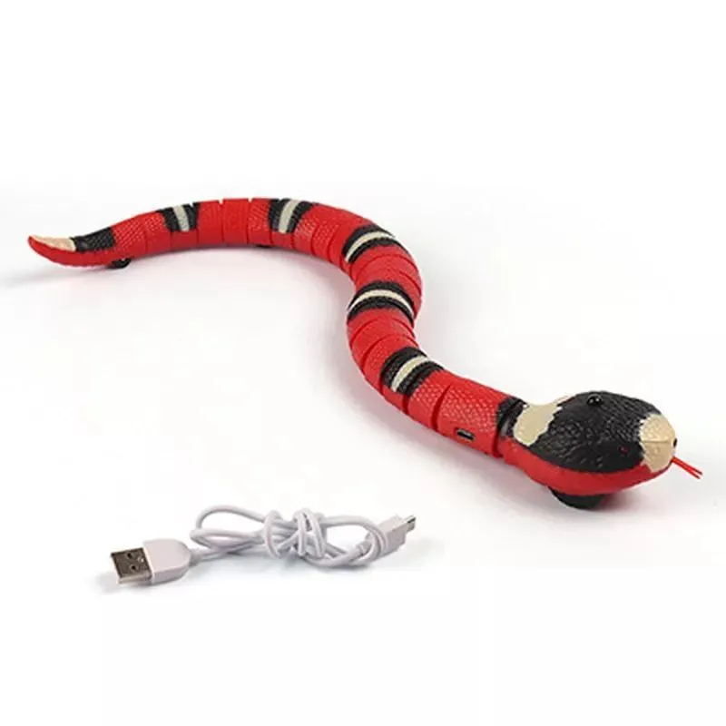 Slinky Moving Snake Cat Toy