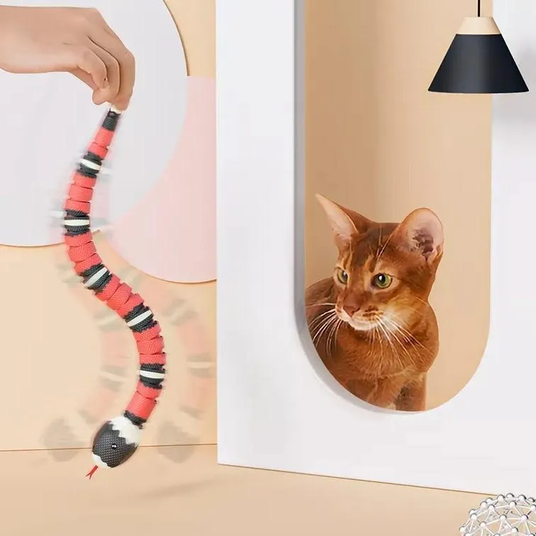 Slinky Moving Snake Cat Toy