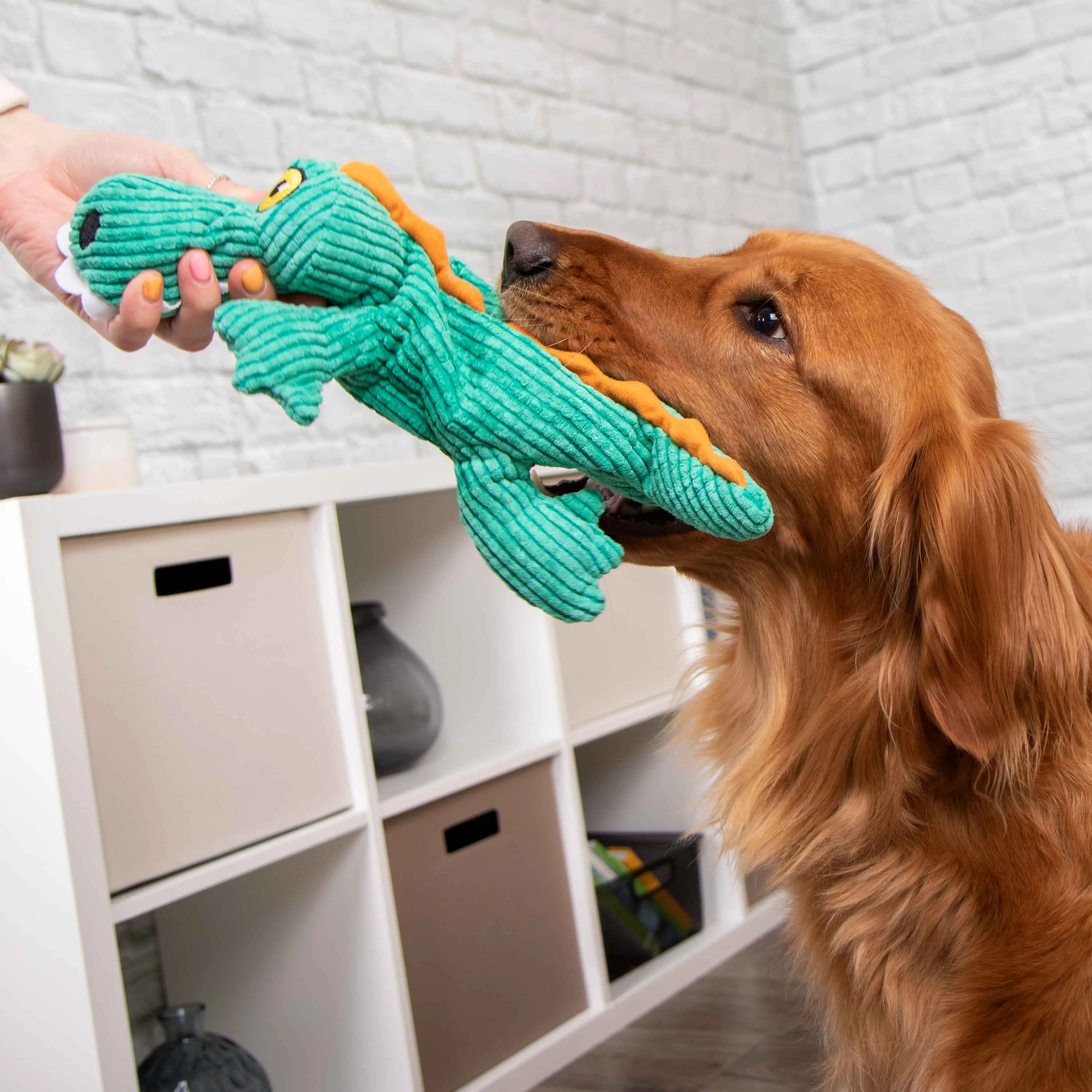 TrustyPup - Gator Silent Squeak Soft Plush Dog Toy