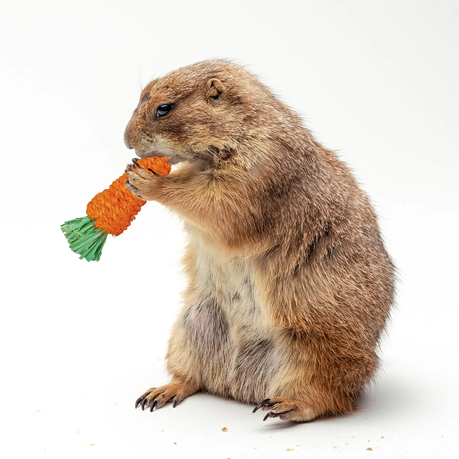 Woven Grass Carrot Chew